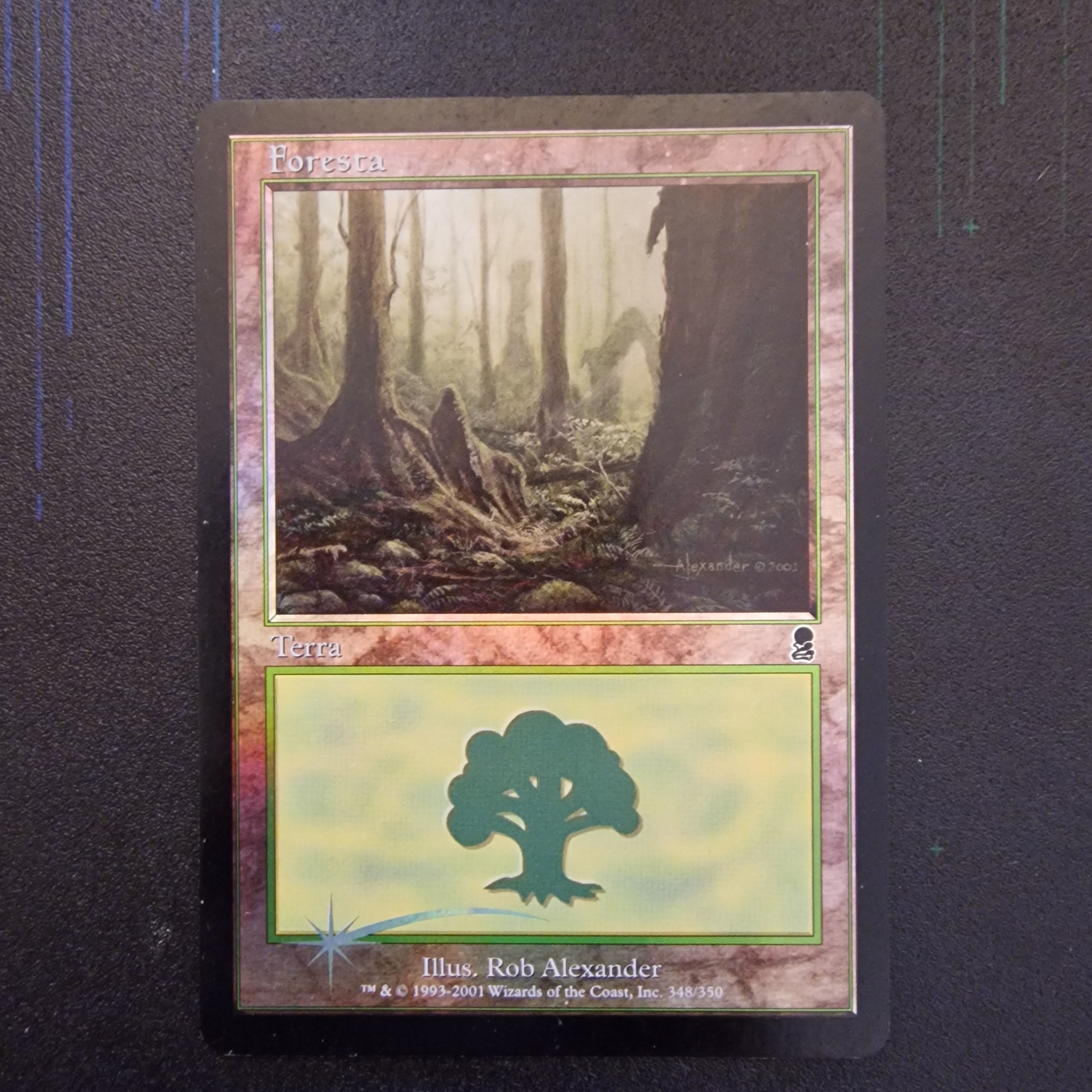 MTG Forest (V.2) Set Odyssey 348/350 Ex-