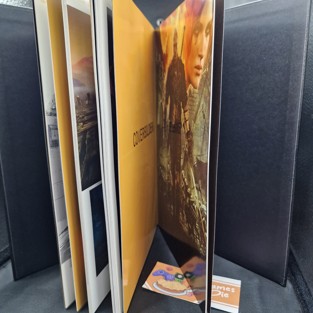 The Witcher 2 II Assassins of Kings Enhanced Dark Edition Collectors Art Book