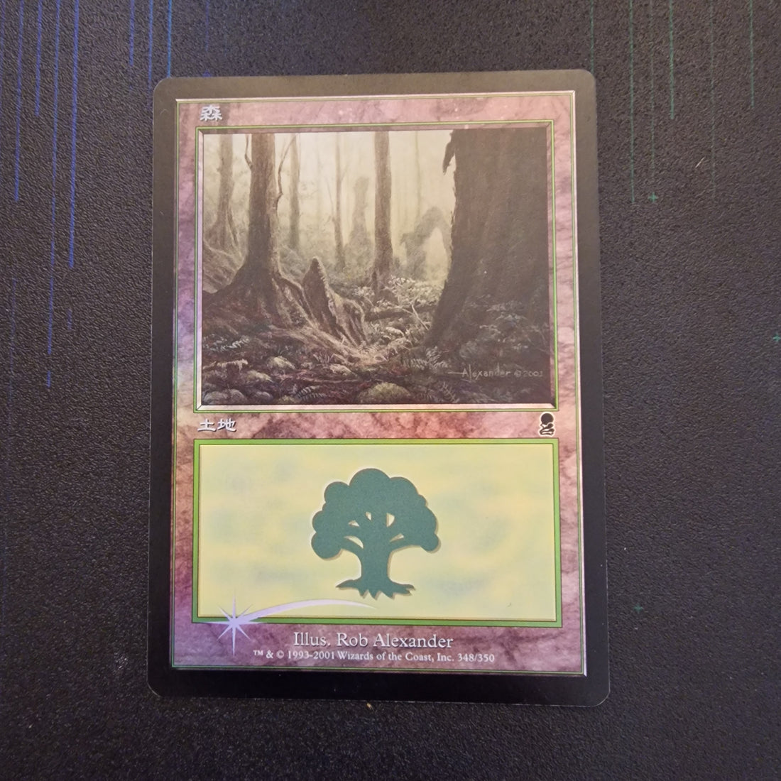 MTG Forest (V.2) Set Odyssey 348/350 Ex