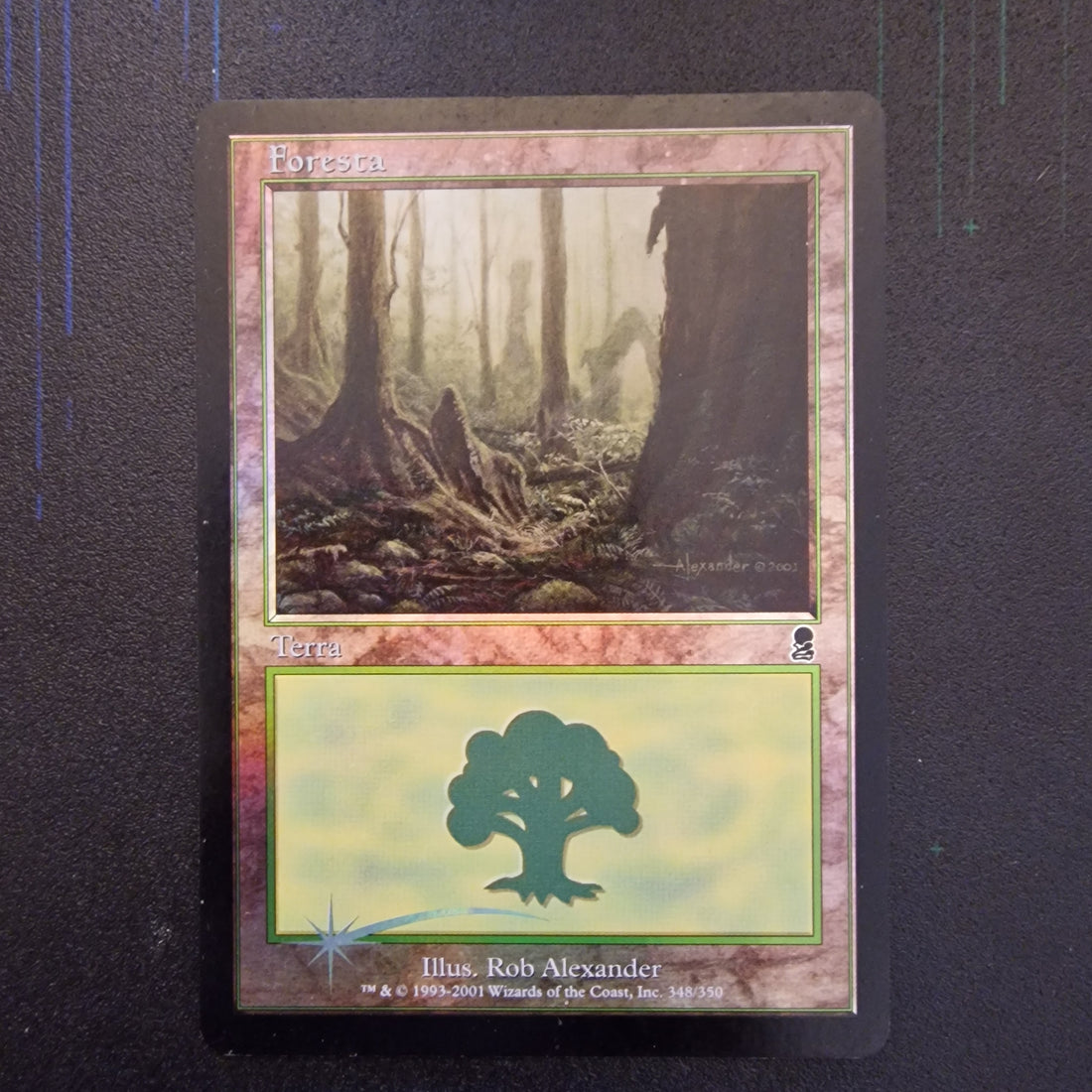 MTG Forest (V.2) Set Odyssey 348/350 Ex-